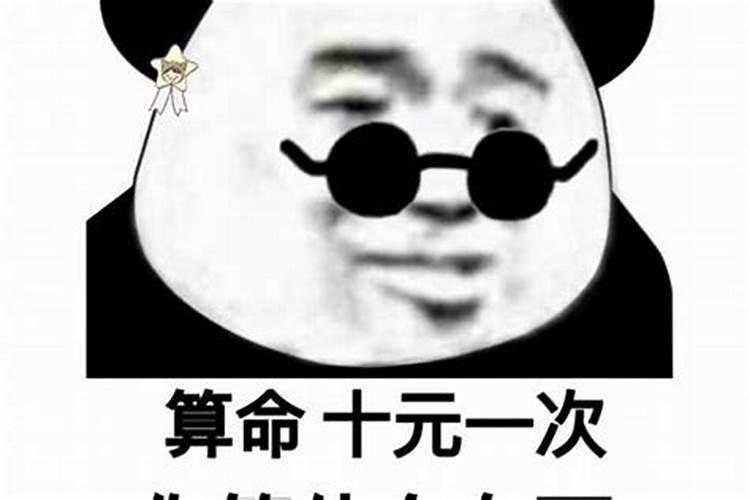 帮我算一下命吧