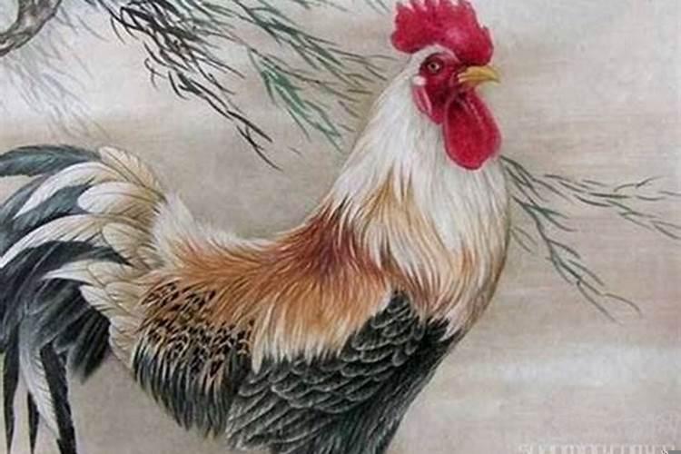 属鼠的人适合做什么生意