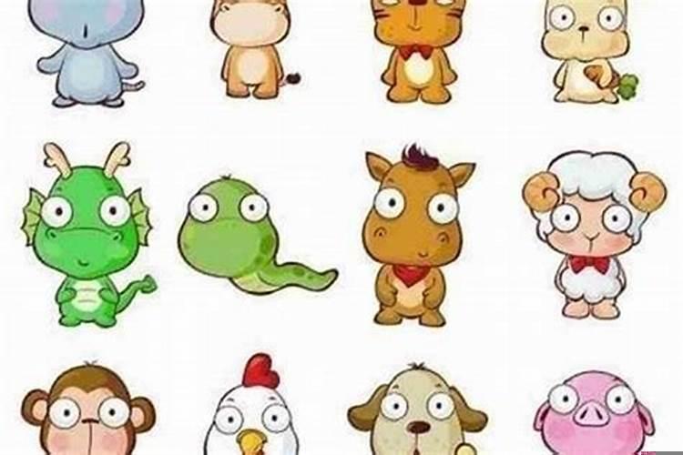 男蛇女猪婚姻好吗