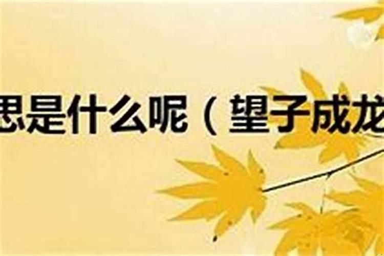 本命年第二年比较旺吗