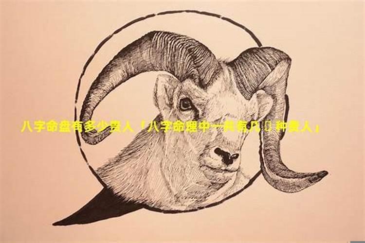 八字命理中一共有几种贵人