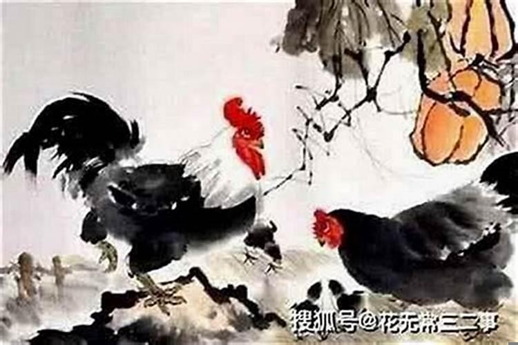 女命财官旺的特征