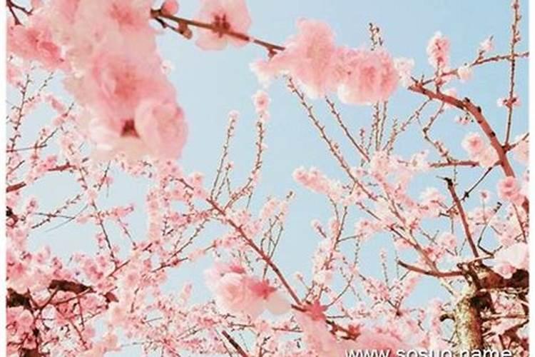 如果做梦梦到自己跳着飞