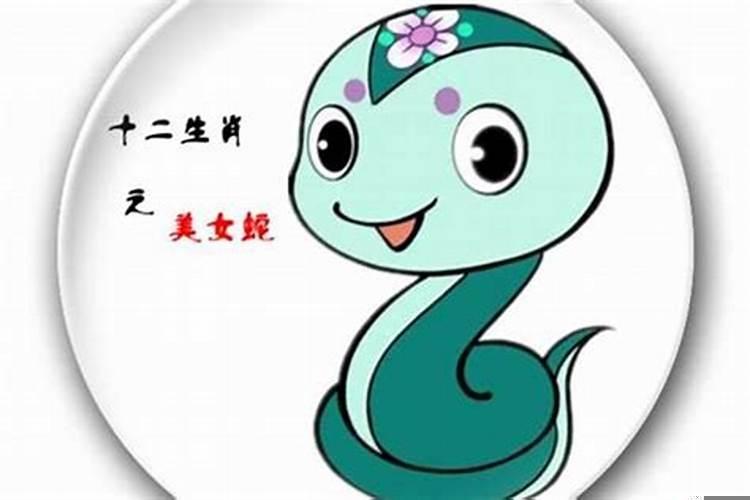 属马的和属蛇的属相合不合