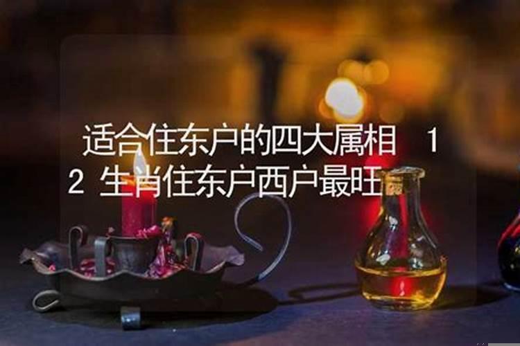 东户西户适合的属相