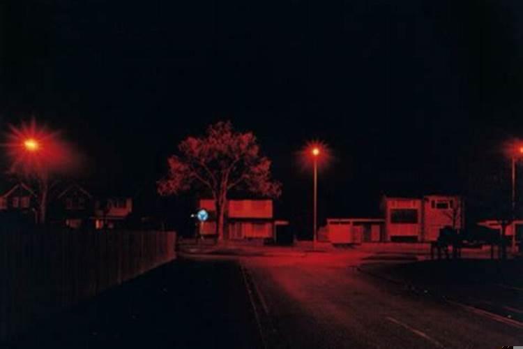 梦见捡好多海鲜