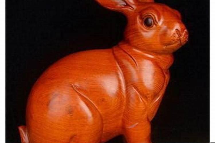 属兔跟属狗的合不合适