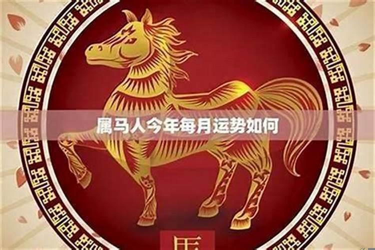 属马的2021年的运势