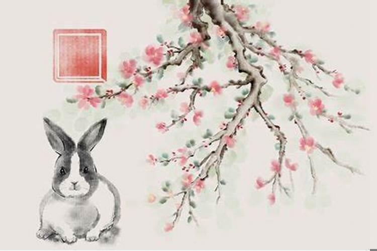 属兔本命年戴什么转运