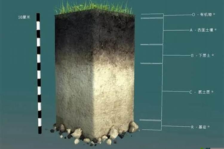 火加木读什么字