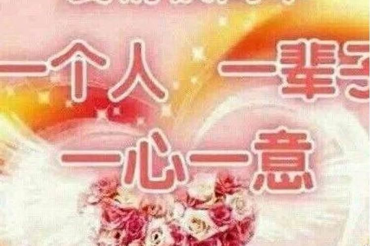 对感情一心一意的星座