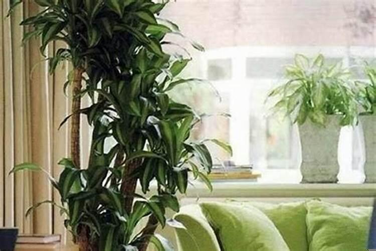 有利于生男孩的风水