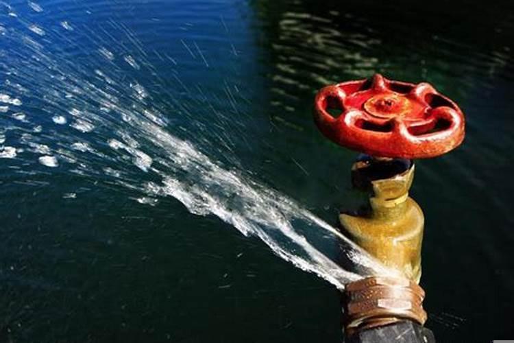 梦见已故的老公又活着回来了