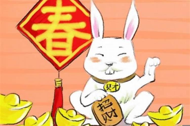 什么属相最旺属兔的财运