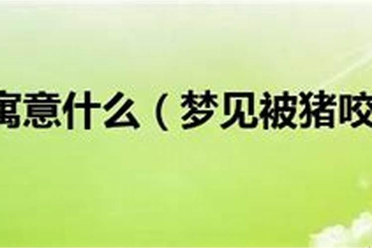 梦见汽车寓意什么预兆