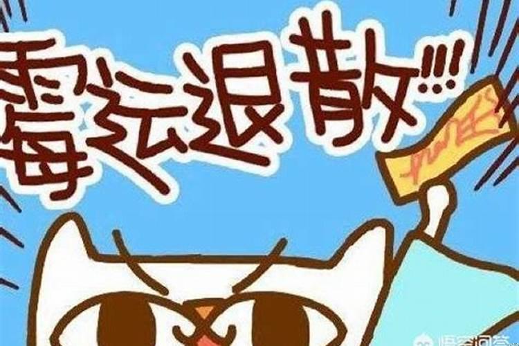 属牛的人床头朝哪方最旺财