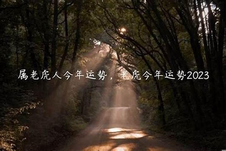 属鸡的2021年犯什么