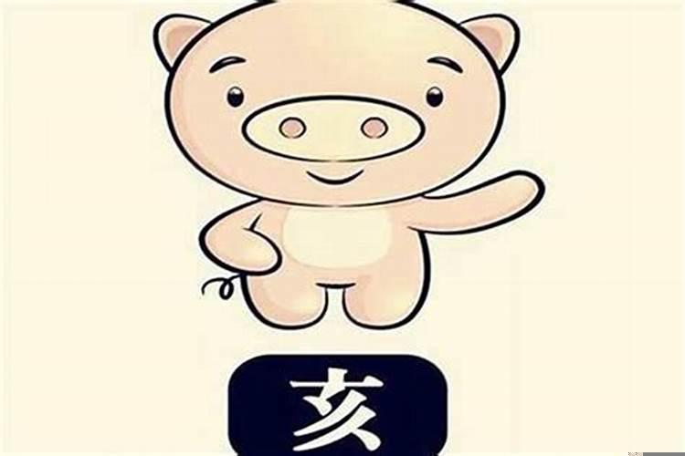属猪的人适合取什么名字
