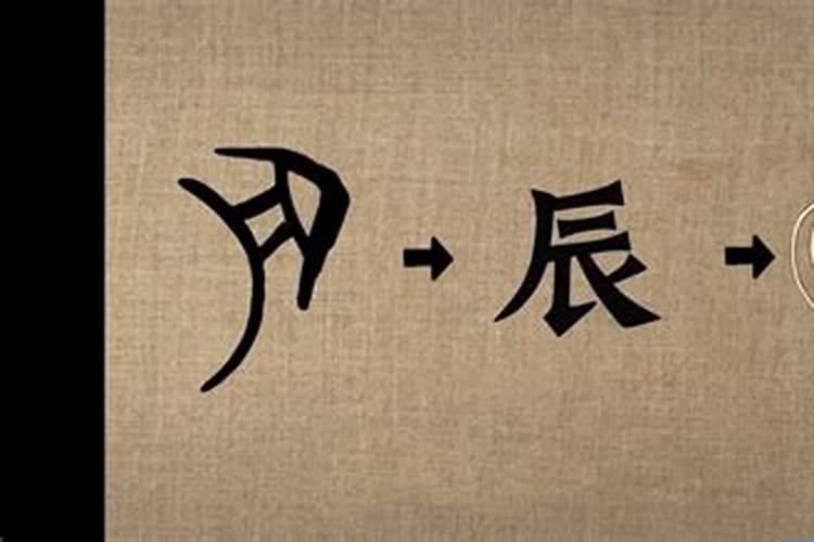 八卦命运解读十二地支之辰详解