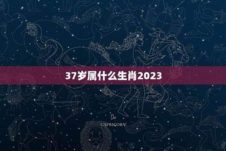 2021年37岁是什么属相