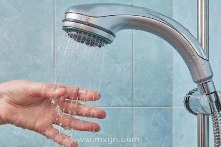 梦见牛死了什么预兆