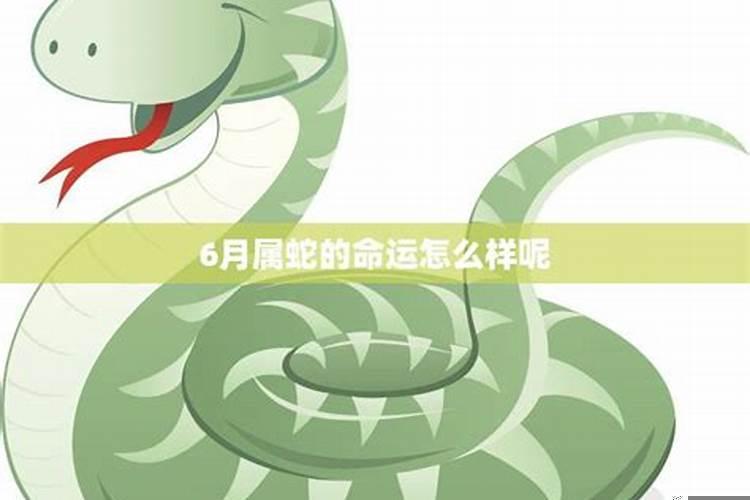 属蛇的运气好不好