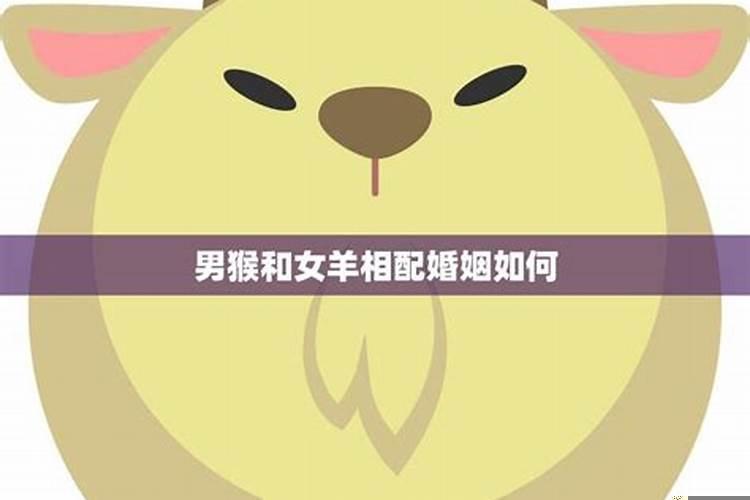 虎与羊相配的婚姻如何