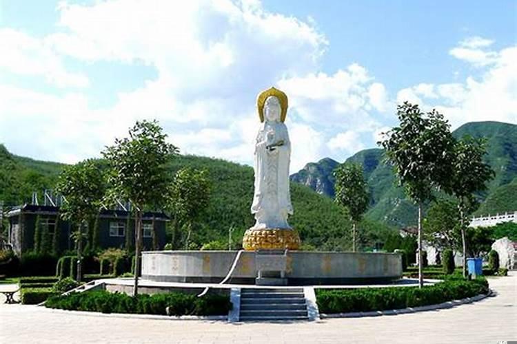 有真正的阴阳人在吗