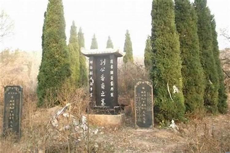 坟上长树怎么办