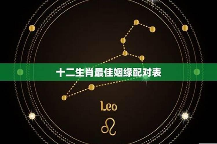 生肖星座配对姻缘