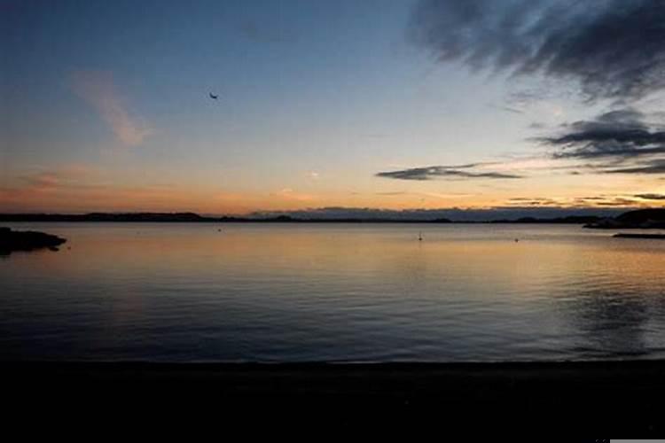 梦见狗死了满地是血