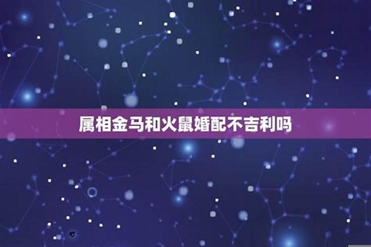 金马与火兔合得来吗?
