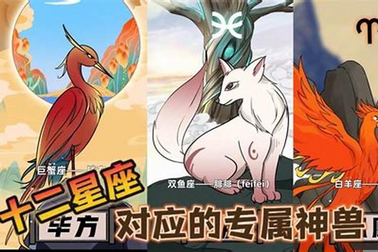 十二星座对应的四大神兽