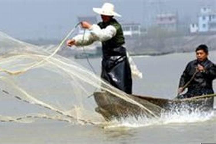 做梦梦到捞鱼什么意思