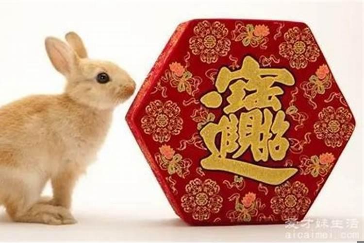 2022年属什么生肖