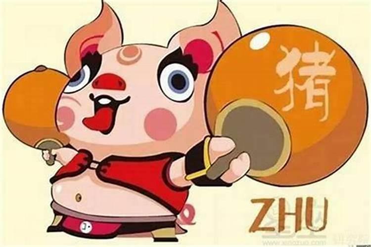 六种生肖很好运