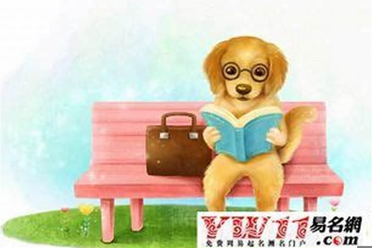 属狗农历九月生人命运