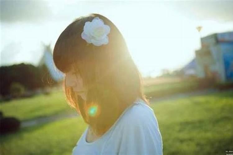 属狗一生注定情人