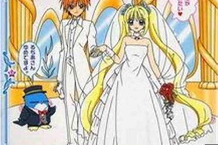 守护甜心之十二星座公主