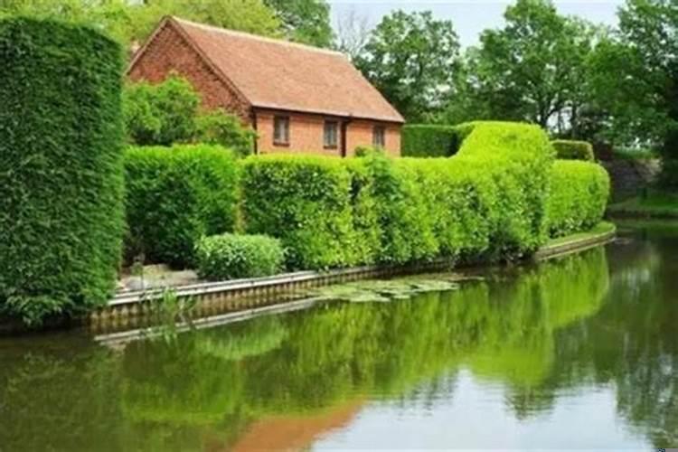 房子后面有河好不好