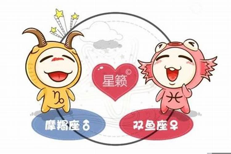 摩羯座和双鱼座配对