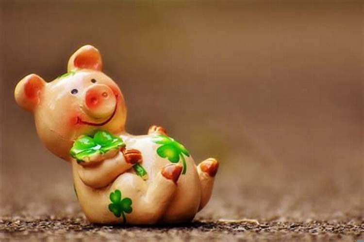 生肖猪佩戴什么吉祥物好