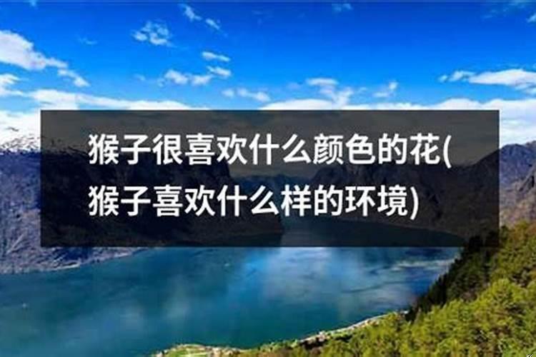 道教哪位神仙最大