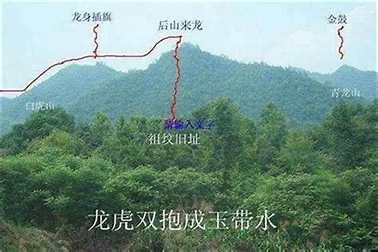 震山兑向墓地风水