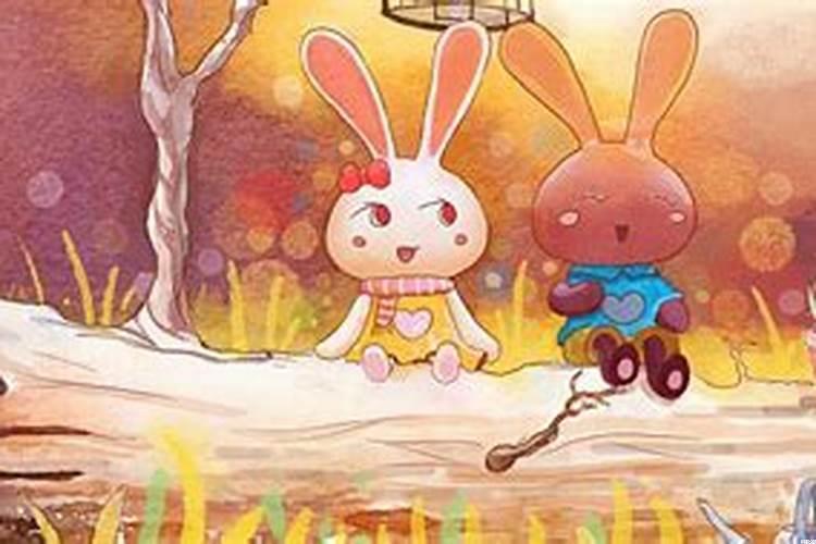 金马与火兔合得来吗?