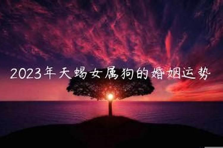 天蝎座女婚姻运势