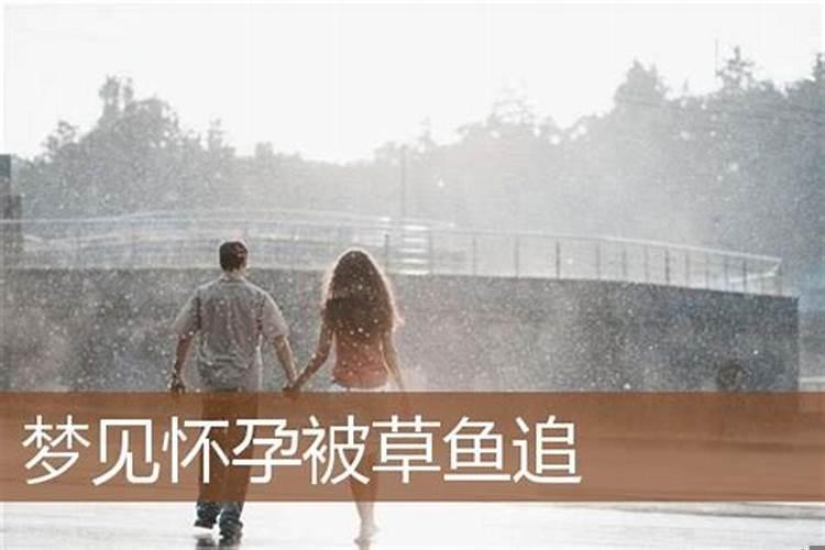 梦见牙齿被拔掉