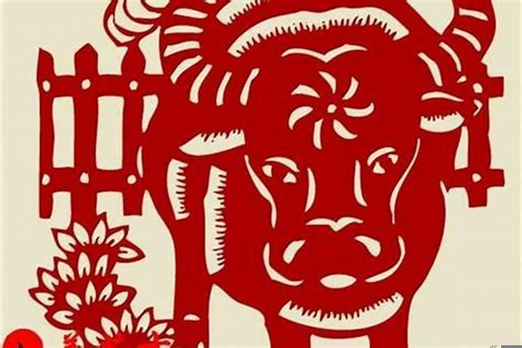 属牛的下半年财运如何