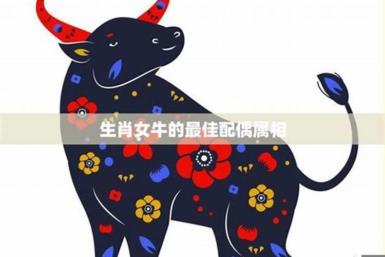 属牛女的最佳配偶是什么生肖?