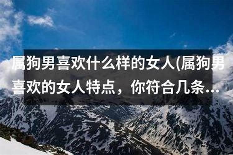 属狗的女人什么性格特点